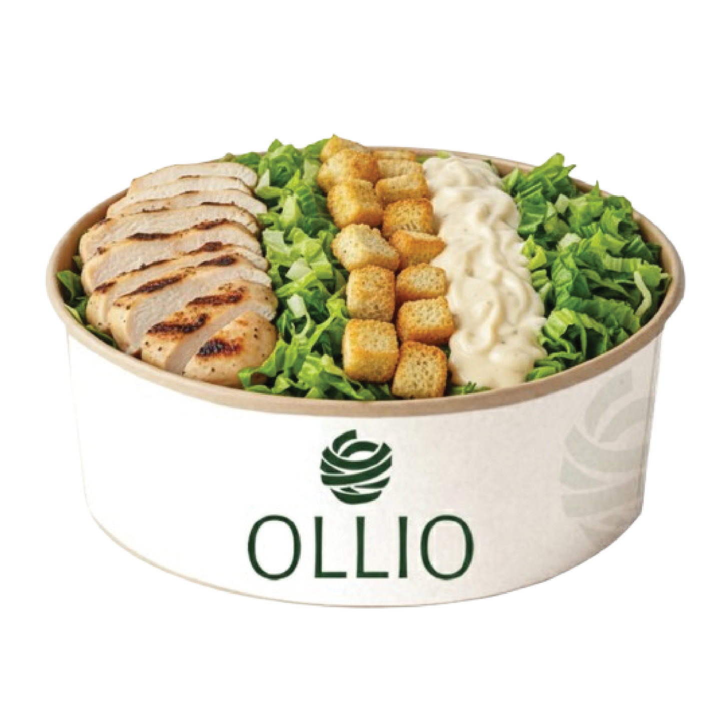 Chicken Caesar Salad